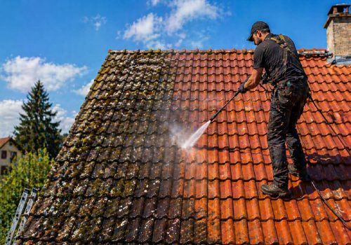 service-Nettoyage-de-toiture