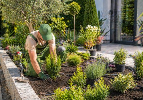 service-jardinier-Plantation-et-aménagement-végétal