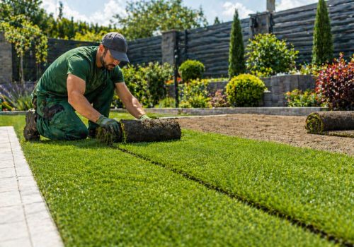 service-jardinier-Pose-de-pelouse-naturelle-ou-synthétique